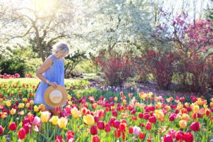 argile bentonite joli jardin